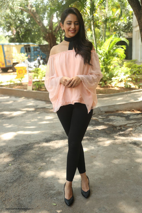 Rakul Preet Singh at Jaya Janaki Nayaka Success Meet