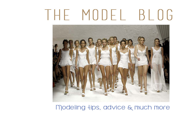 The Model Blog