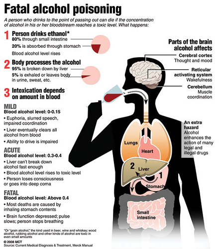 Health Consequences of Drug Misuse
