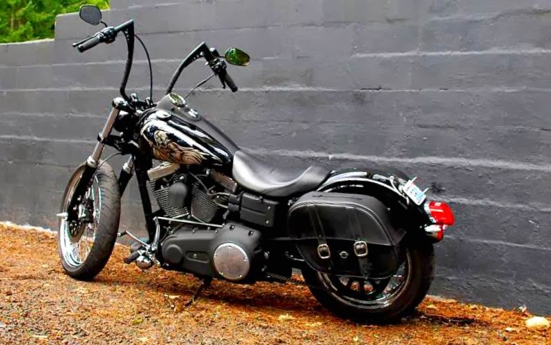 viking saddlebags sportster