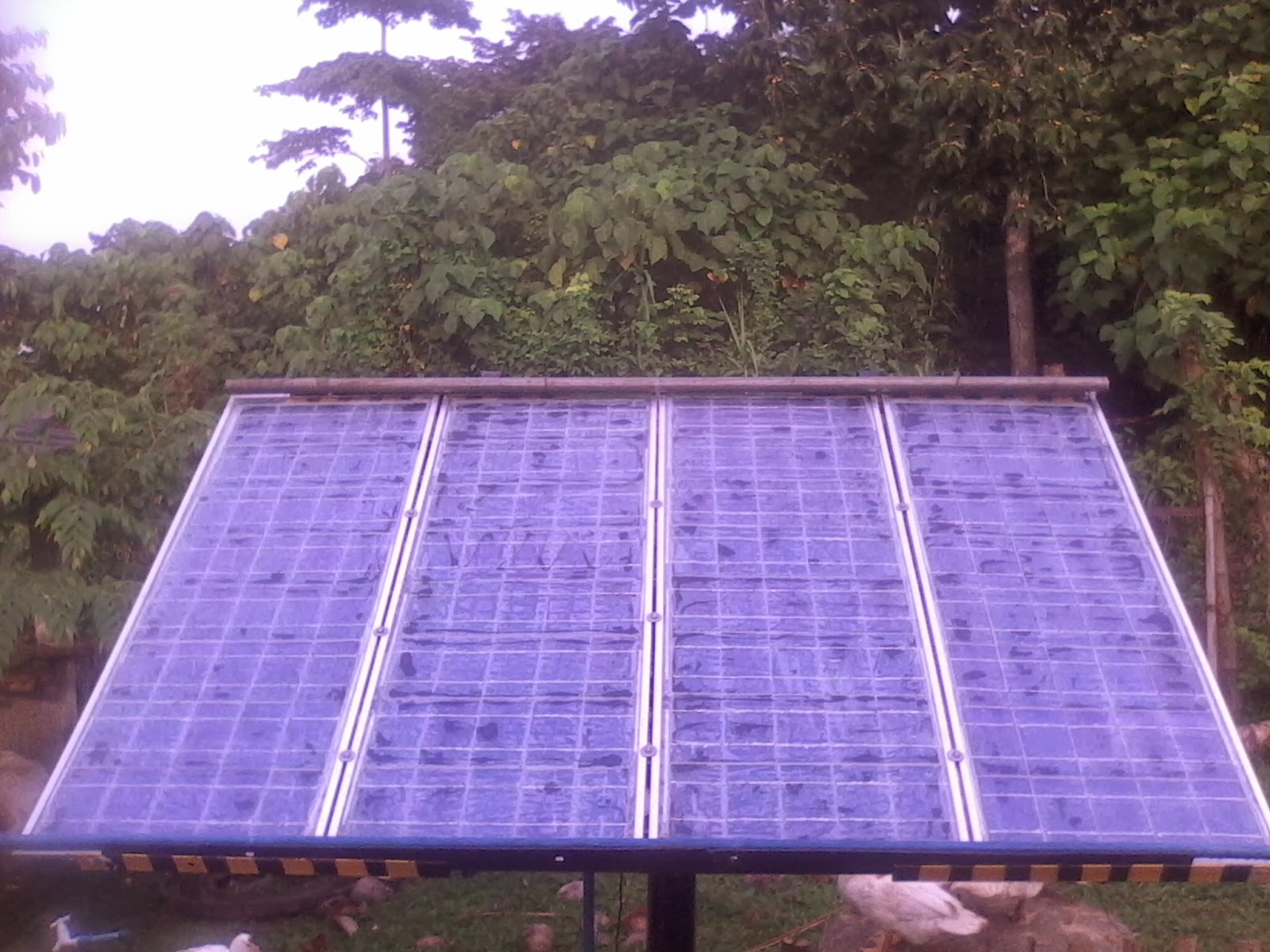 blog-article-from-philippines-eco-worthy-solar-panel-online-shop