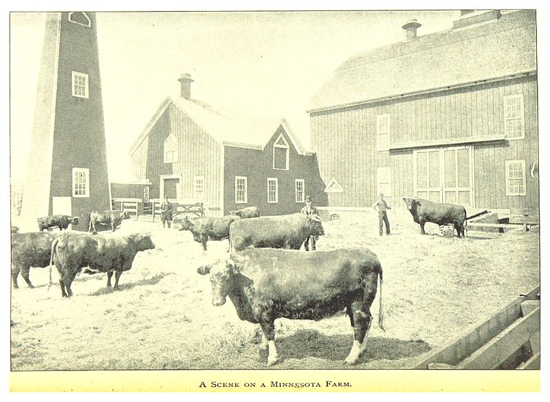1893 Scene on a Minnesota Farm Big Picture Agriculture
