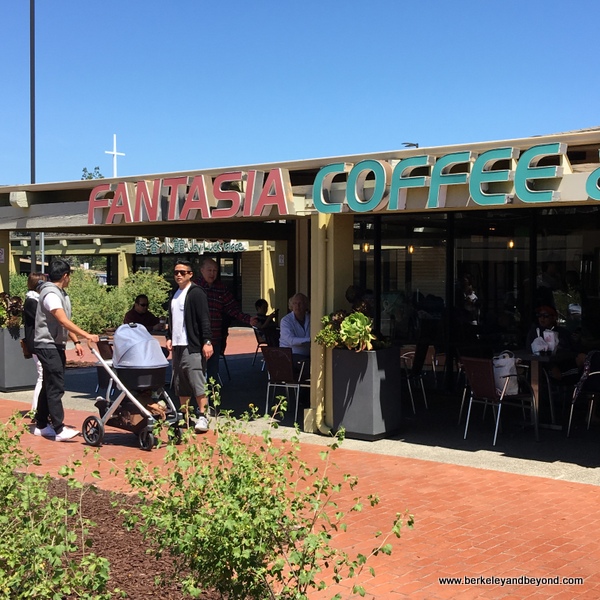 Weekend Adventures Update Cupertino Cupertino Village Shopping