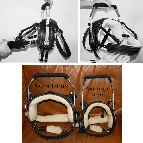 Service Dogs and Me It Arrived! My Bold Lead Design Harness