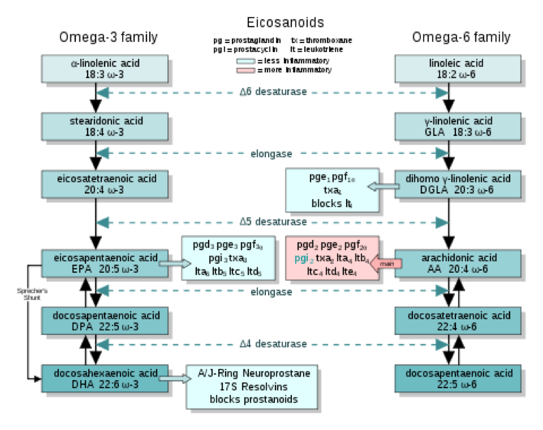 ACAsano Omega 3 vs Omega 6, continuación (para interesados)