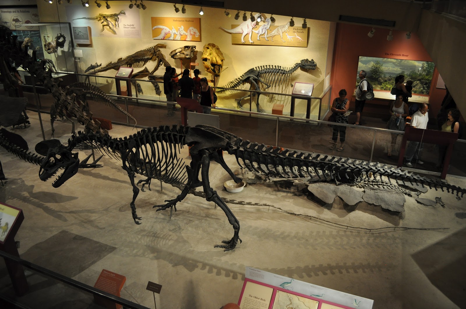 dinosaur cold case smithsonian