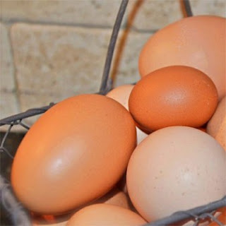 Telur Ayam Chicken Eggs (Bahan Masakan)