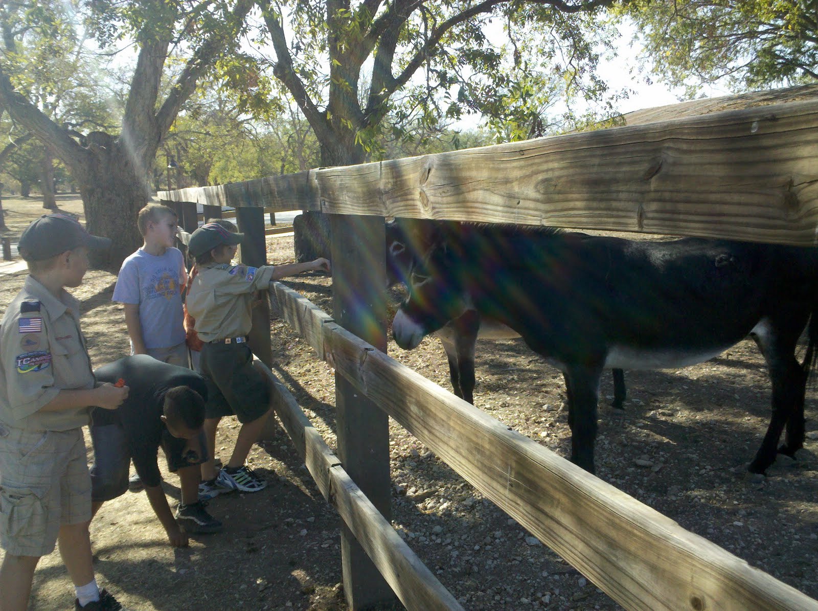 Campsite lake historical site reviews texas berry springs park
