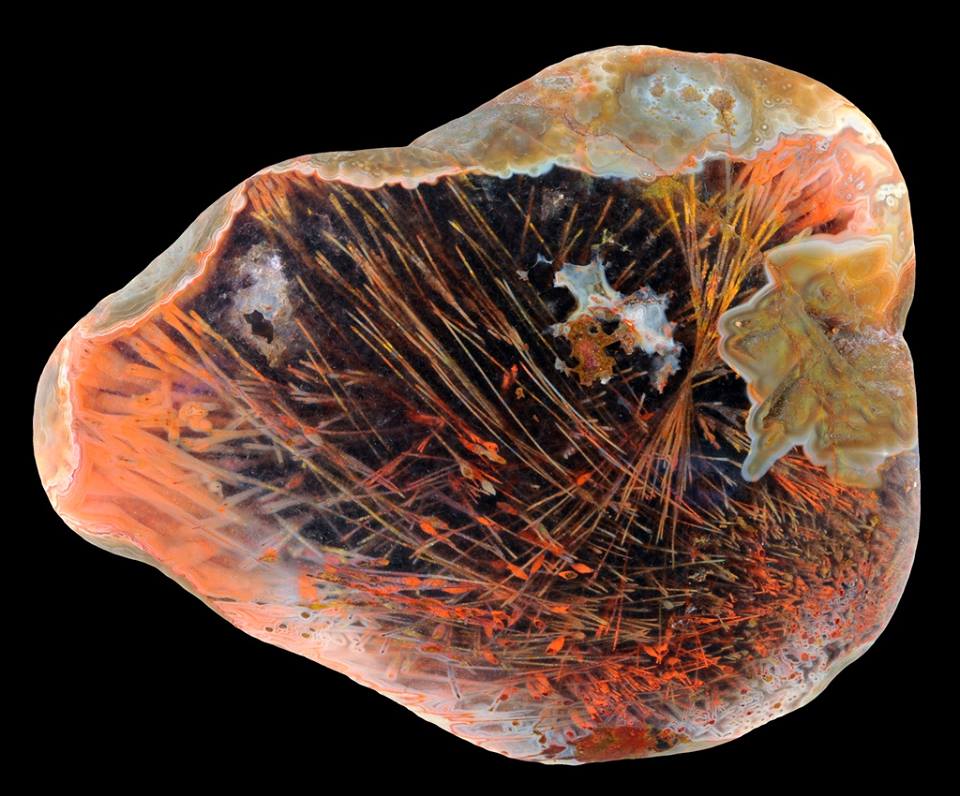 Types of Agate With Photos
