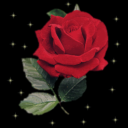 rosas_hermosas_grandes_