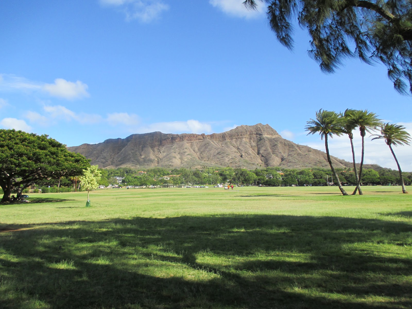 Musings of a Literary Wanderer Throwback Diamond Head
