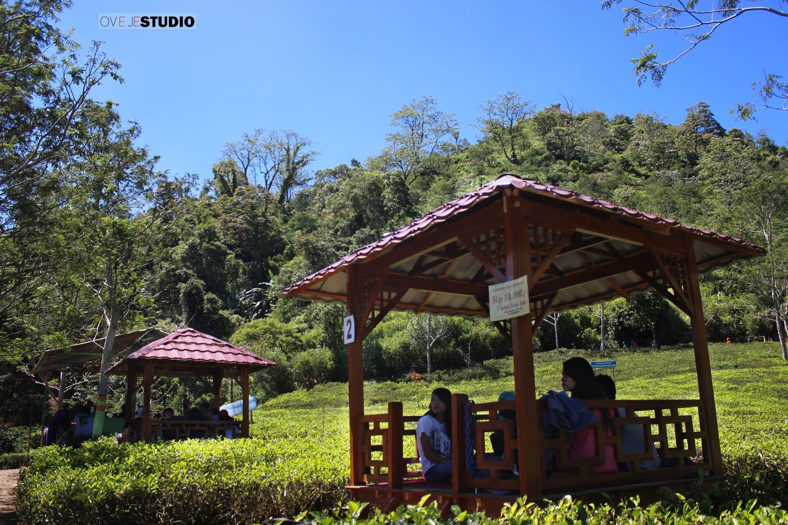 Agro Wisata Tuk Bening Kaligua | Plat-G Adventure