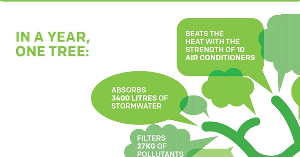 Glucosamine Water Soluble Chitosan Derivatives