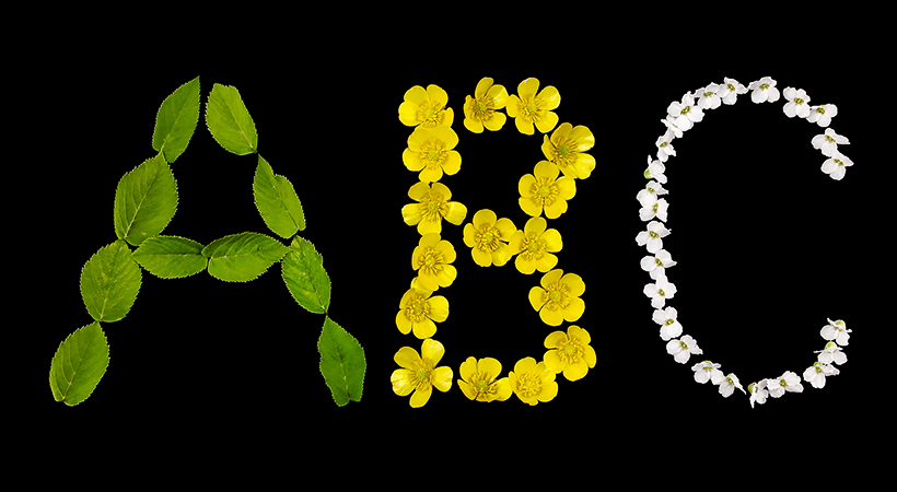 Abecadło słodkiego, miłego życia - litery A B C ułożone z zielonych listków oraz żółtych i białych kwiatków