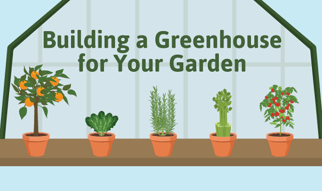 Building a Greenhouse for Your Garden