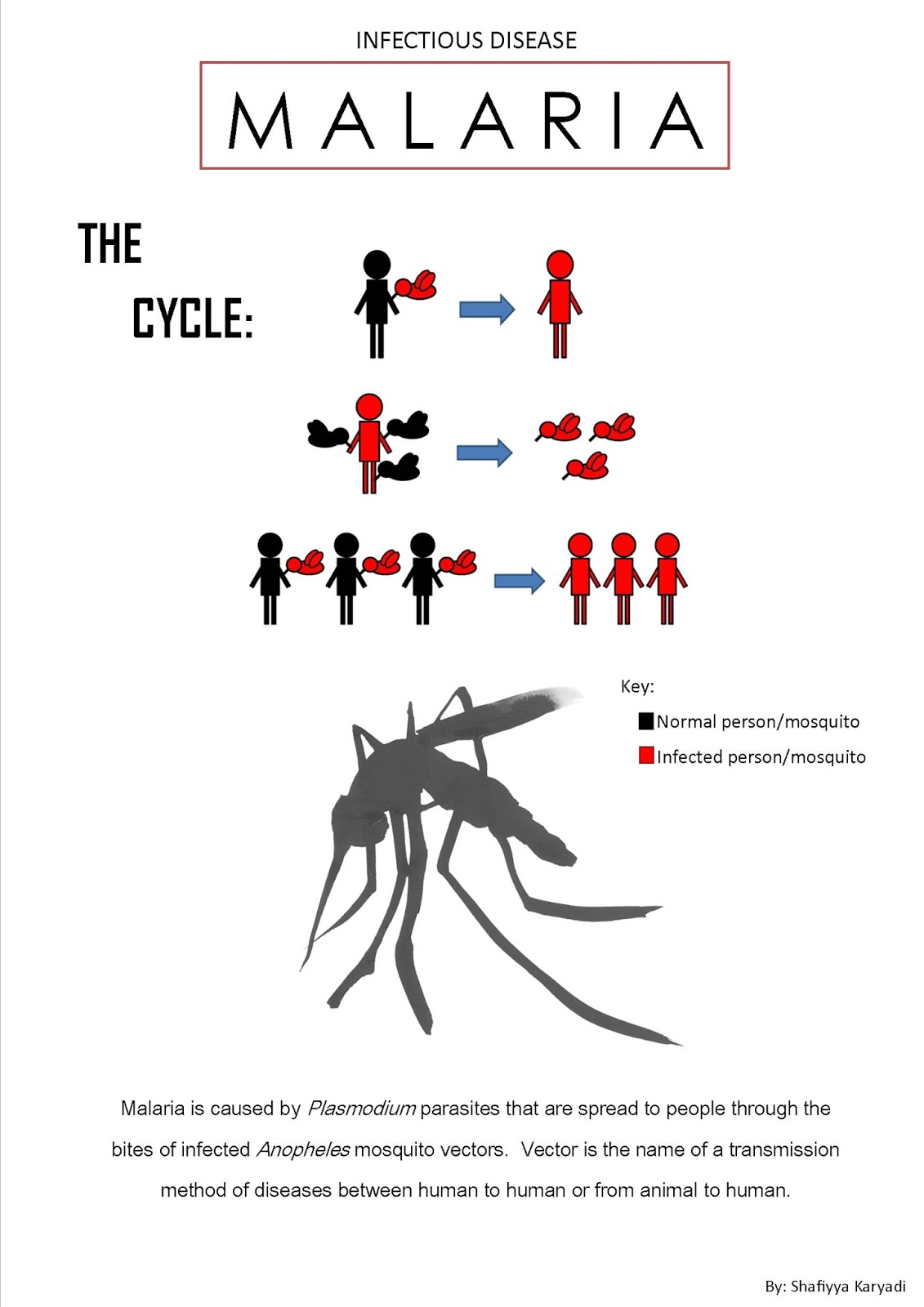 Bonjour: Infectious and non- infectious disease poster