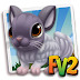 Fv 2 White Solid Violet Chinchilla (baby ,adult,prized)