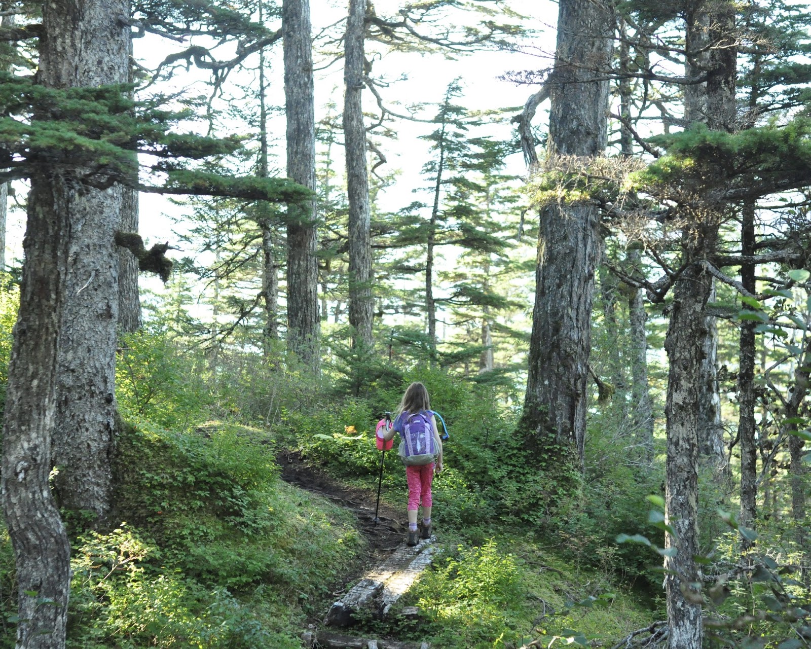 Heart Alaska Emerald Cove To The Beach