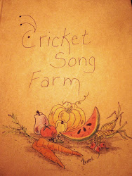 Kick off your boots, sit a spell and read about the adventures on our little sustainable farm.