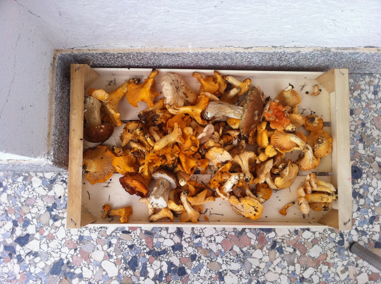 Goofynomics Himmel und Erde