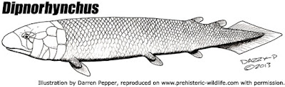 Dipnorhynchus