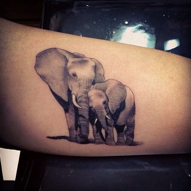 Tatuagens femininas de elefante Tatuagens femininas de elefante