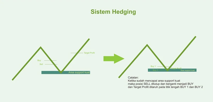 sistem-hedging