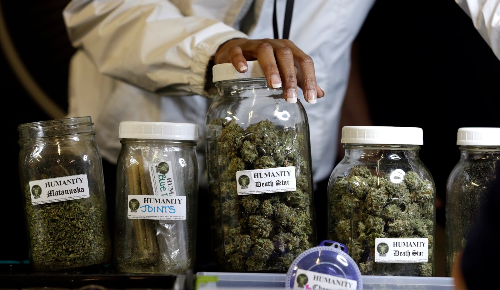 Legal Cannabis Consumers Private Club in Barcelona. More than 100 pot