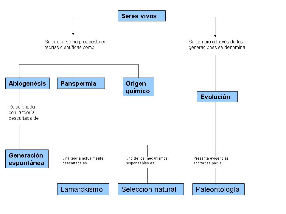Evolucion de los seres vivos - Seres Vivos 
