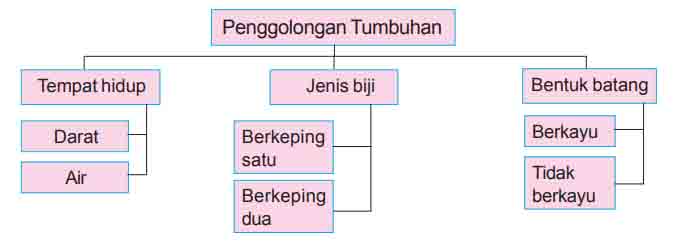 Sinau Penggolongan Tumbuhan