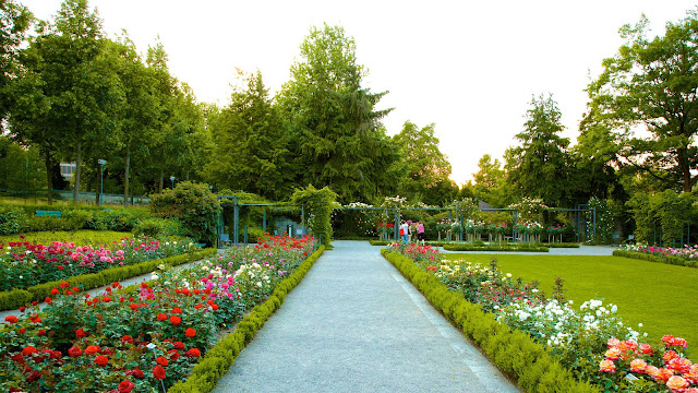 صور مناظر ابهة  81595-Bern-Rose-Garden