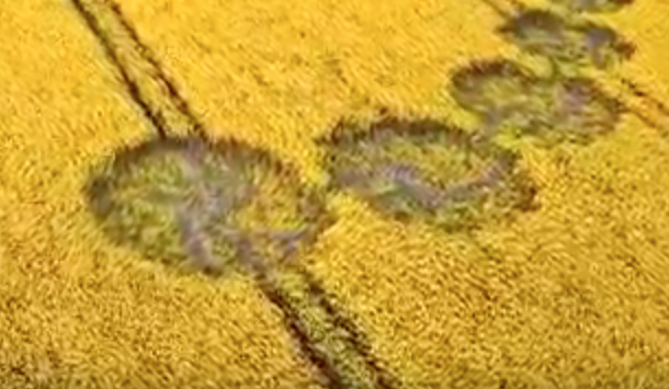 Crop Circle With Hidden Message In Wiltshire, UK Crop%252C%2Bfarm%252C%2BAI%252C%2Bartificial%2BIntelligence%252C%2Btank%252C%2Barcheology%252C%2BGod%252C%2BNellis%2BAFB%252C%2BMoon%252C%2Bunidentified%2Bflying%2Bobject%252C%2Bspace%252C%2BUFO%252C%2BUFOs%252C%2Bsighting%252C%2Bsightings%252C%2Balien%252C%2Baliens%252C%2BFox%252C%2BNews%252C%2Bastronomy%252C%2Btreasure%252C%2B