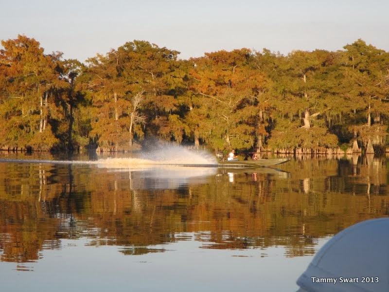 Things we did today... The Mermentau River