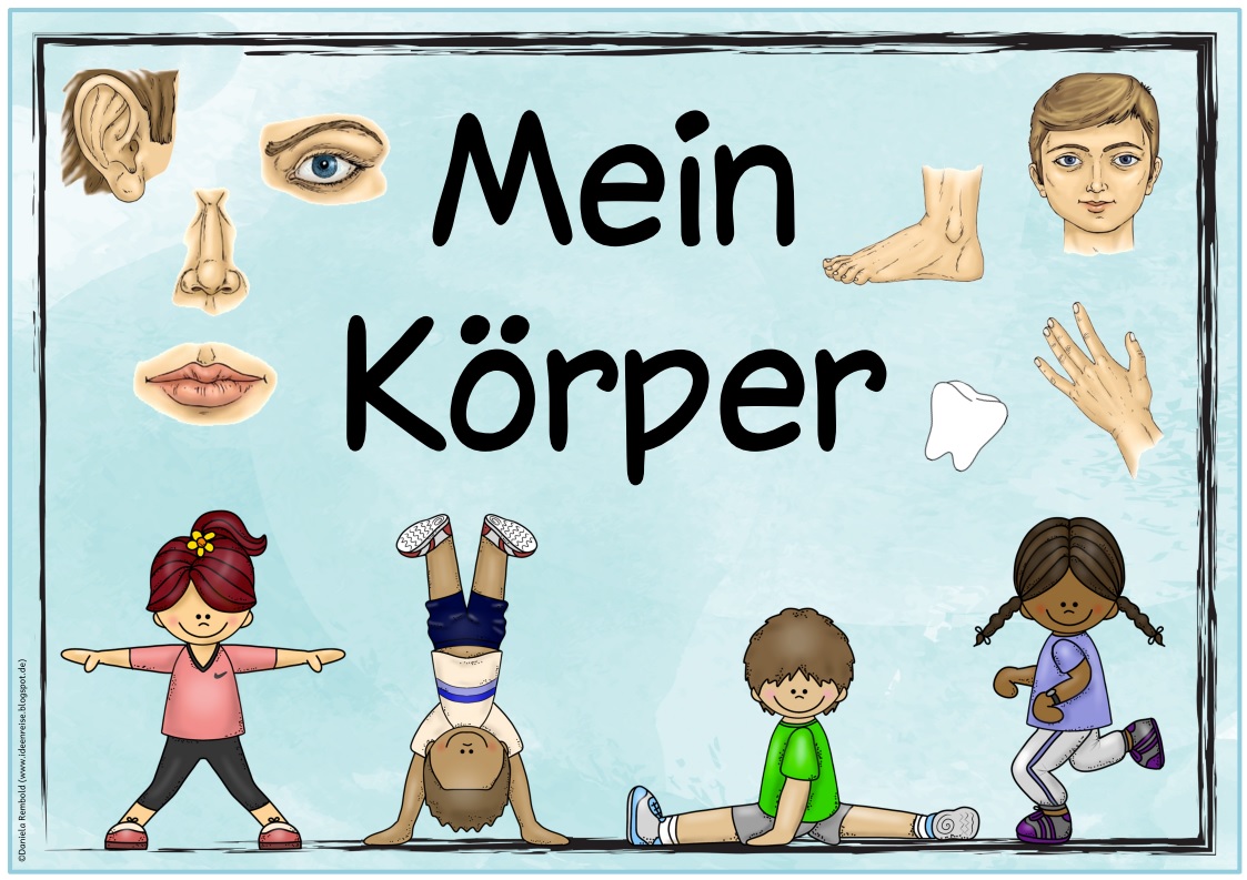 Ideenreise - Blog | Weitere Themenplakate „Eulen/Mein Körper“