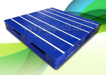 pallet plastik hygiene duty