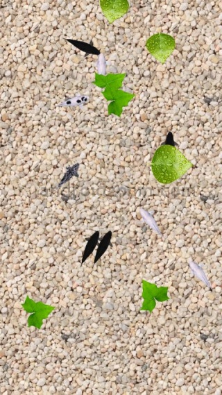 !!மழைதூறல்!!: ஆண்ட்ராய்டு மொபலில் உள்ள அற்புதங்கள்