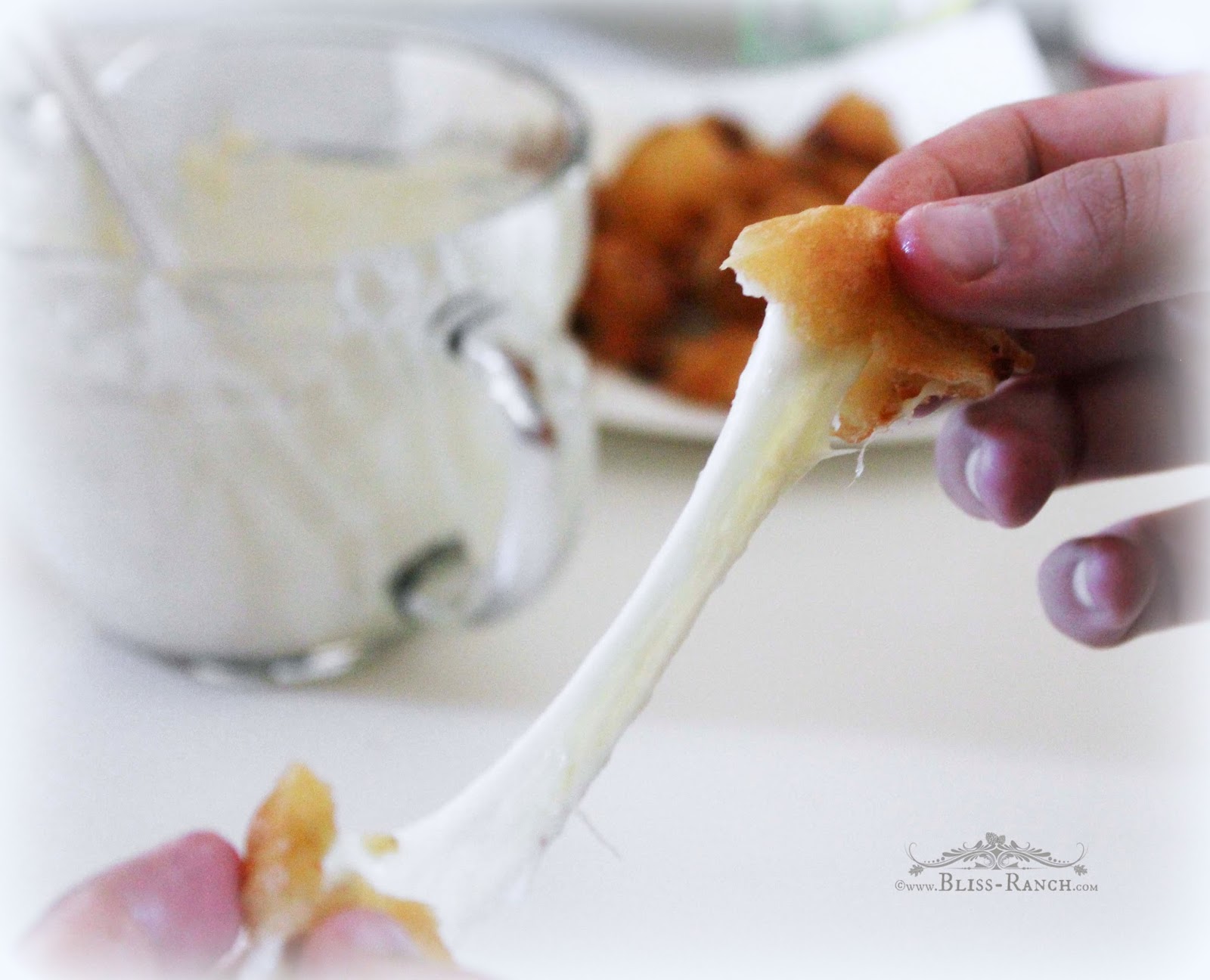 Bliss Ranch Wisconsin Cheese Curds, Deep Fried Recipe Edition