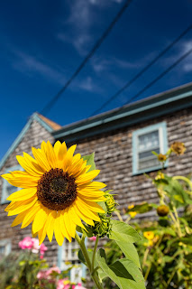 Jack Aiello Photography www.jackaiello.photoshelter.com www.jackaiello.photoshelter.com