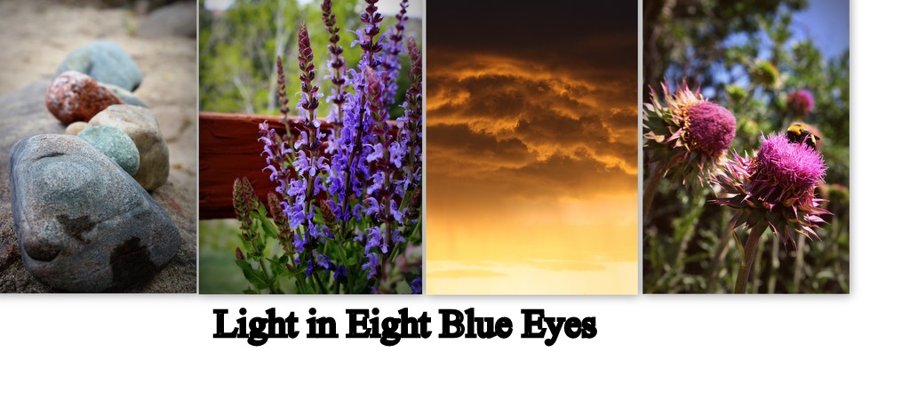 Light in Eight Blue Eyes