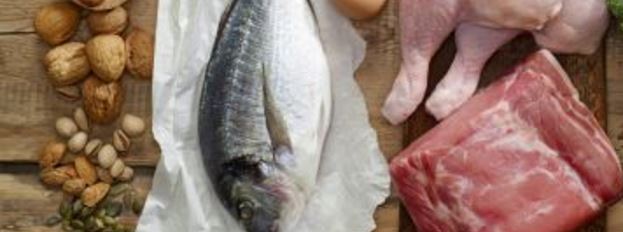 protein ikan protein ikan