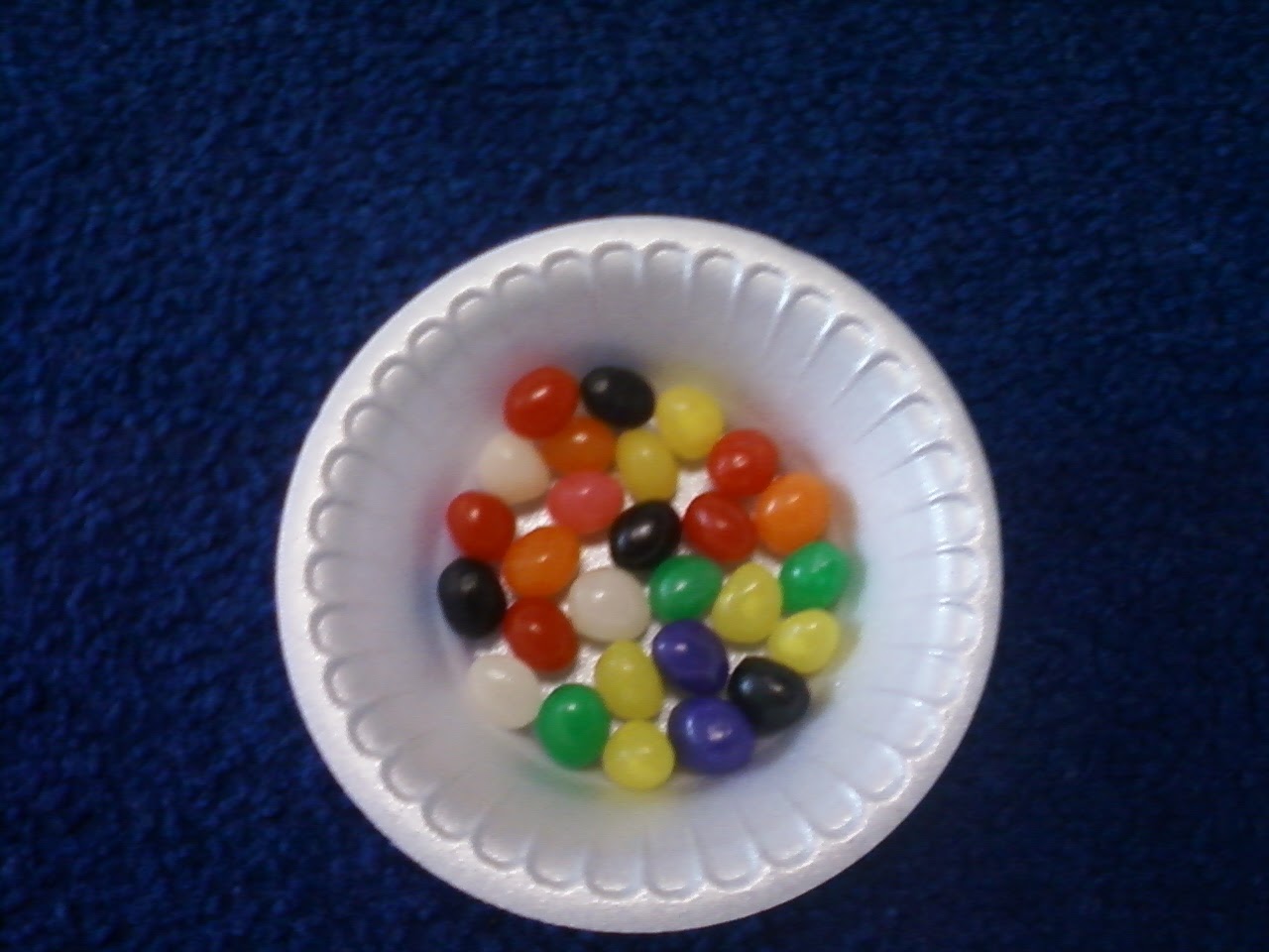 Cherub Child Care Jelly Fish, Jelly Beans and MORE