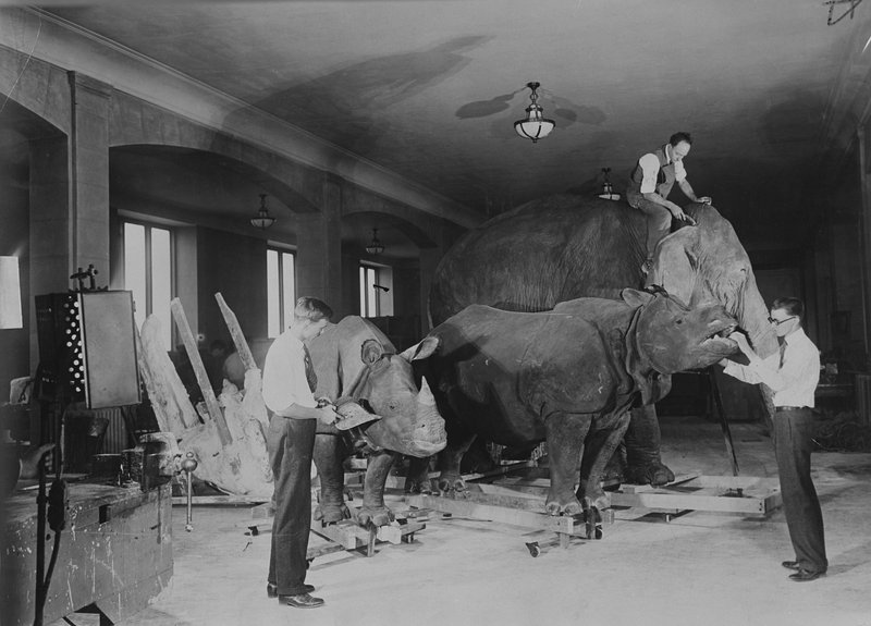 Older Pictures Of Museum Of Natural History Older Pictures Of Museum Of Natural History