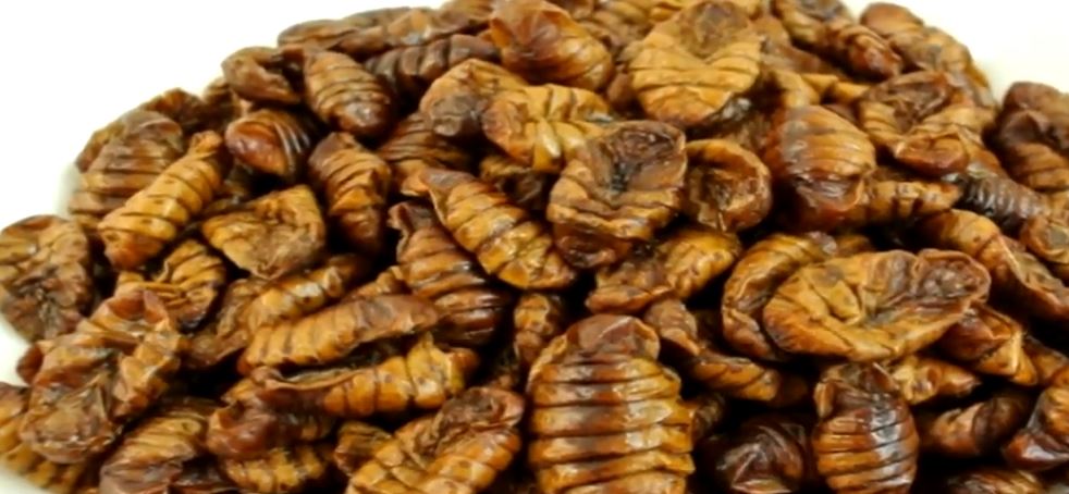 Travel the world: Unique Foods in South Korea You should try!!