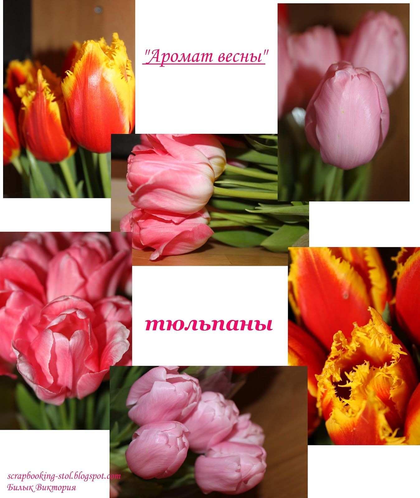Стихи про тюльпаны и весну. Статусы про тюльпаны и весну. Хочется весны и тюльпанов. Высказывания о тюльпанах.