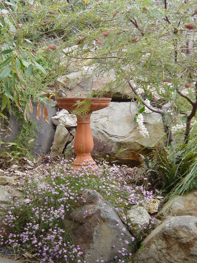 Formosa Design: Bird friendly garden design