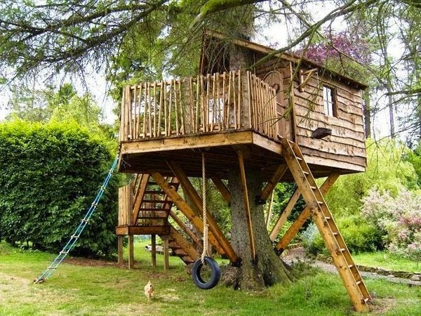 What not to miss in the tree house