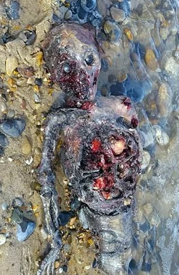 mermaid findings