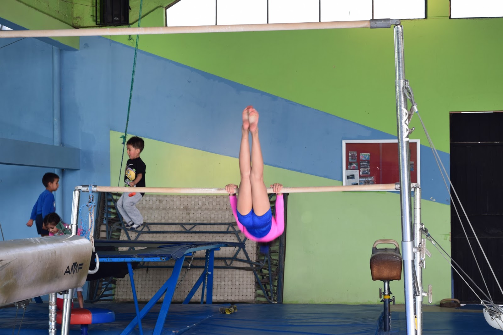 FDECH Gimnasia artística de barras asimétricas