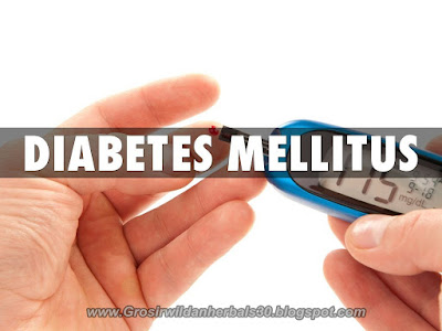 Penyebab Diabetes Melitus & Obat Diabetes Melitus Herbal, Ampuh dan Aman Penyebab Diabetes Melitus & Obat Diabetes Melitus Herbal, Ampuh dan Aman