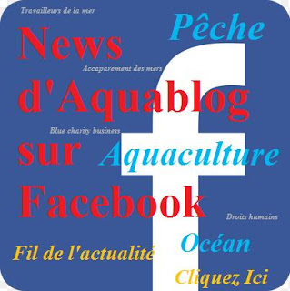 https://www.facebook.com/Regard-sur-la-P%C3%AAche-et-Aquaculture-320623654728433/timeline/